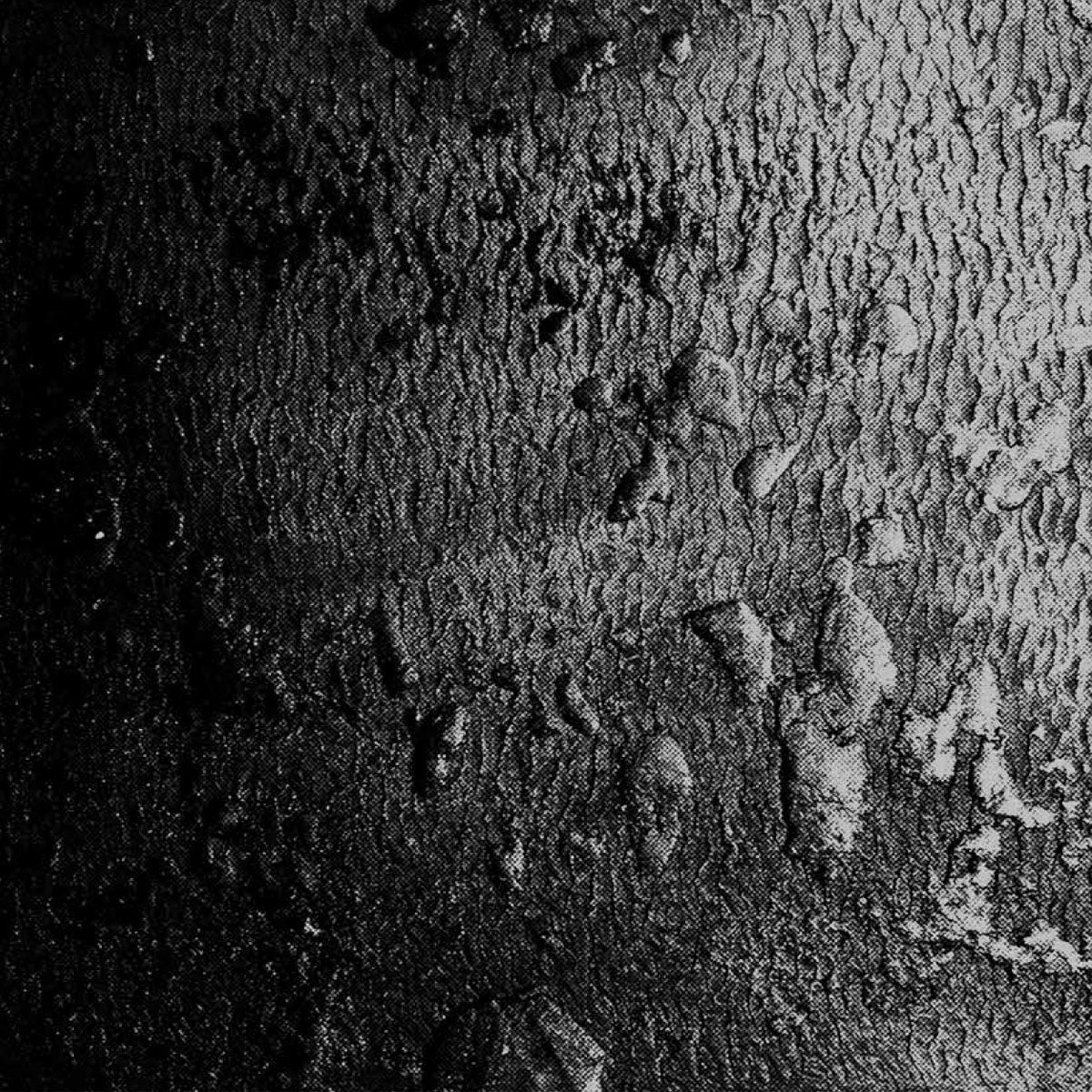 Textured black and white pattern on a tyre